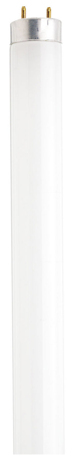 Satco - S6521-TF - Light Bulb - Frost