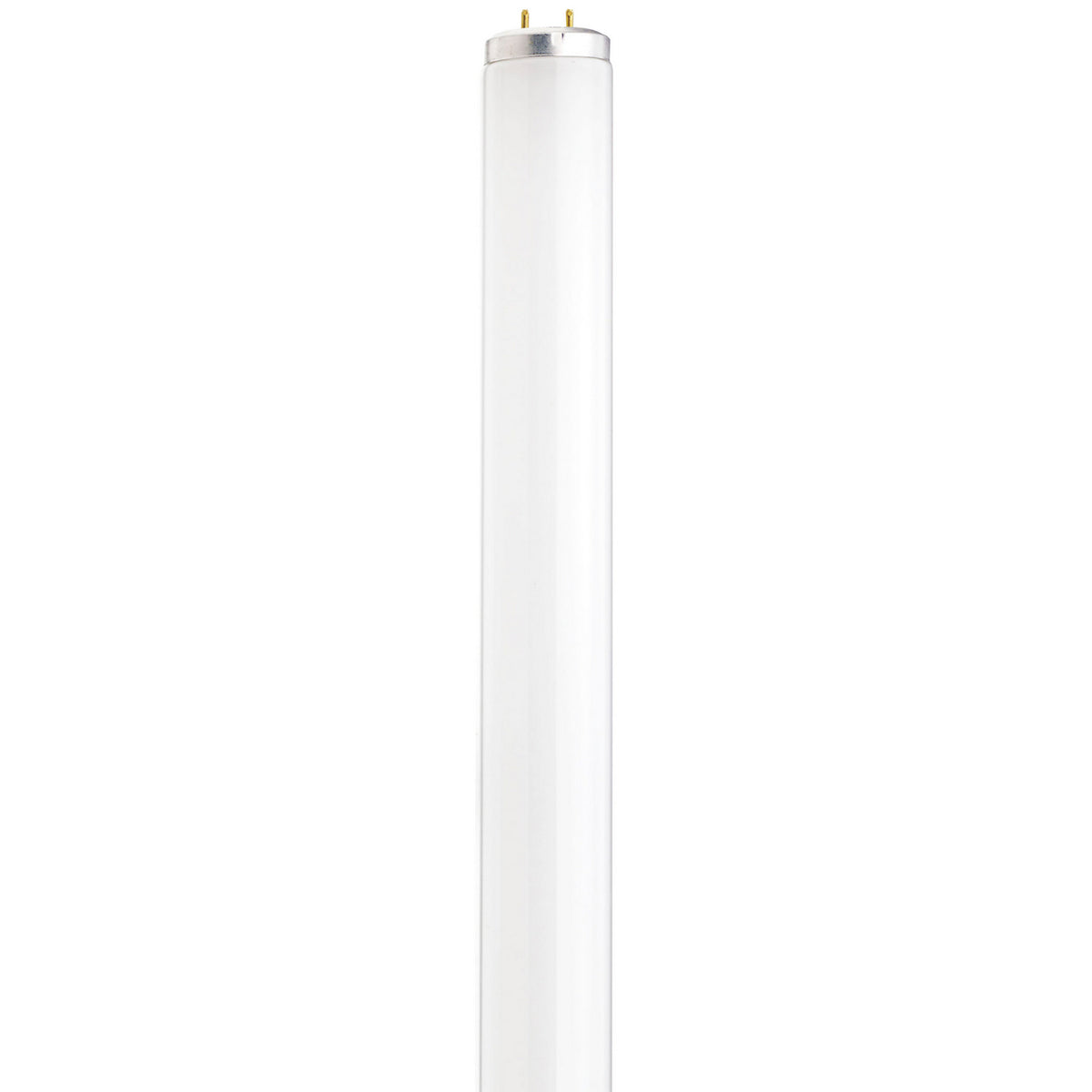 Satco - S26560 - Light Bulb - Frost