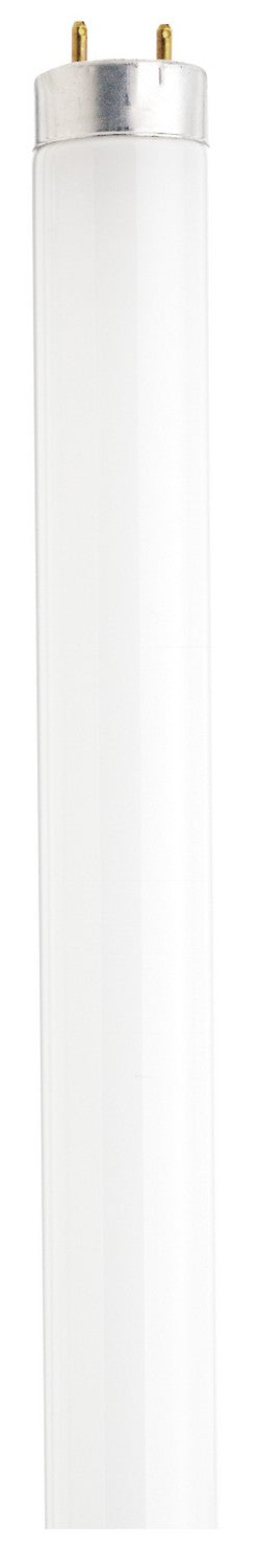 Satco - S2916-TF - Light Bulb - Frost