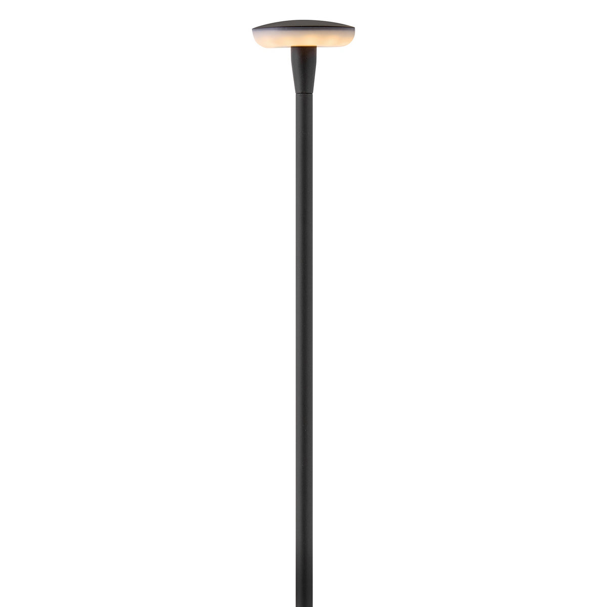 Hinkley - 15690BK - LED Path Light - Calie - Black
