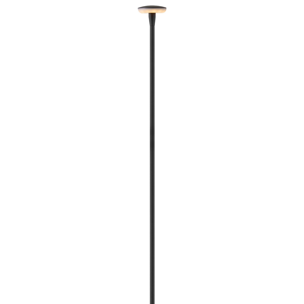 Hinkley - 15693BK - LED Path Light - Calie - Black
