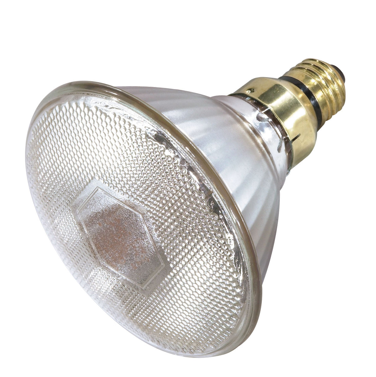 Satco - S4813 - Light Bulb - Clear