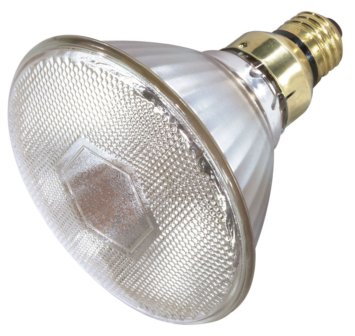 Satco - S4888 - Light Bulb - Clear