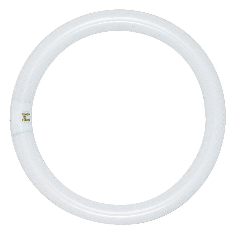 Satco - S6509 - Light Bulb - Frost