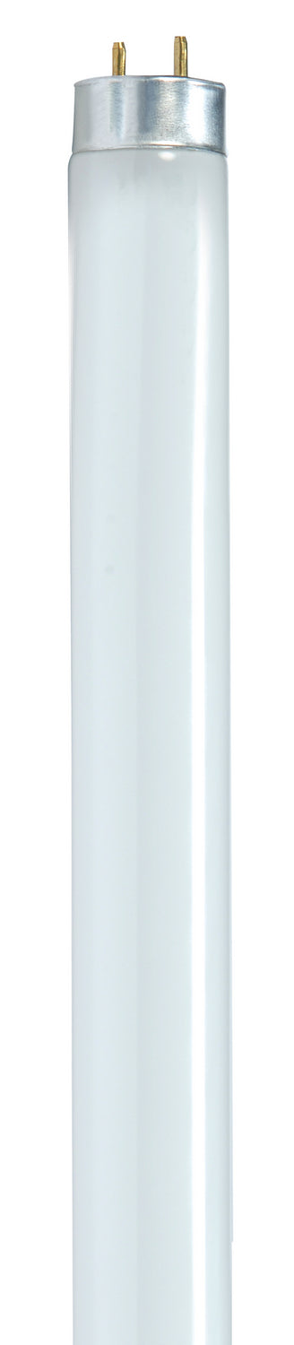 Satco - S8419 - Light Bulb - Gloss White
